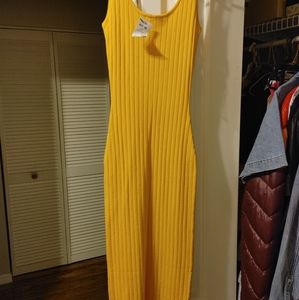 Fitted Ribbed Dresses